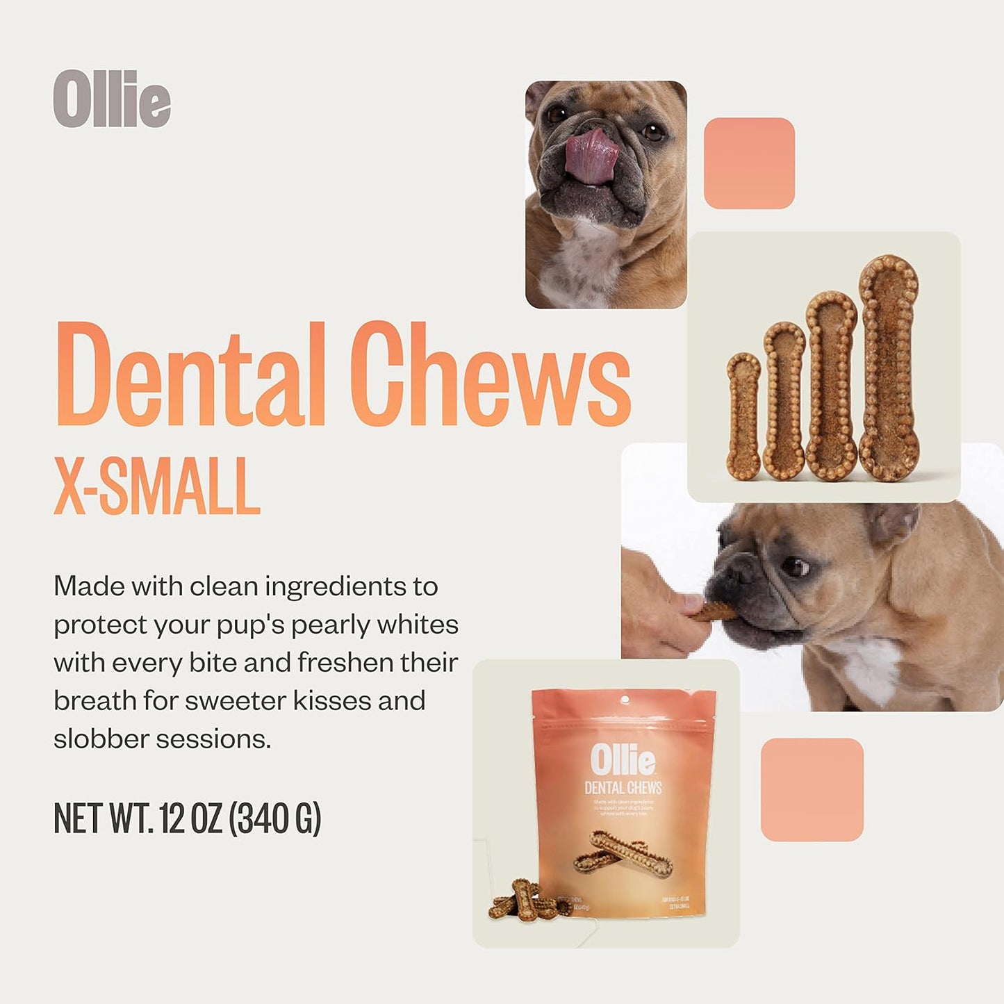 Ollie Dental Chews for Extra Small Dogs, 12 Oz, Fresh Breath, Teeth Cleaning Treats, Sticks for Dog Oral Care, with Parsley and Cinnimon, for Pups 5-15 lbs