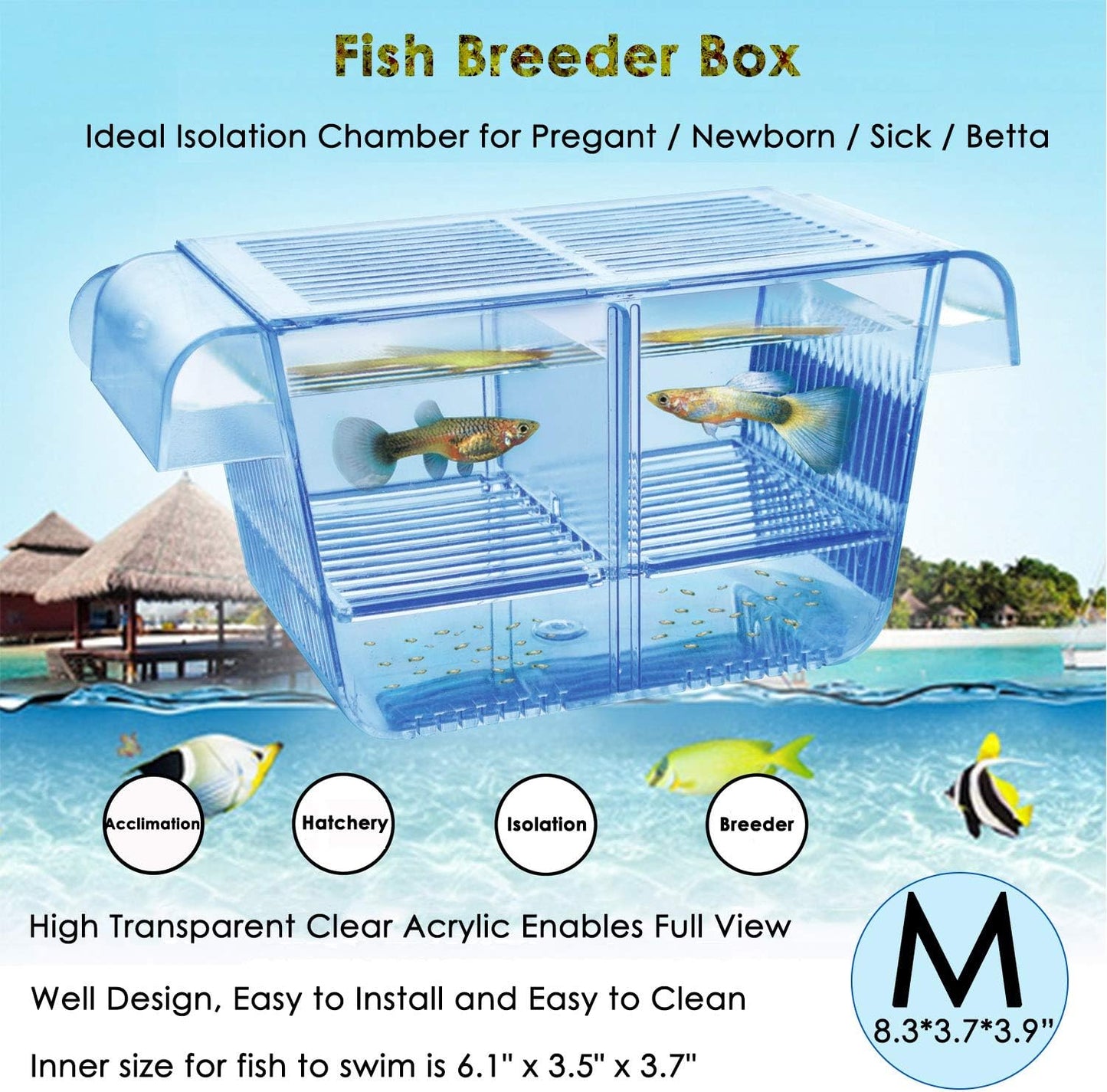 Cepetsma Fish Breeder Box - Hang-on Nursery Fish Tank With Breeding Hatchery, Perf for Aggressive & Injured Species
