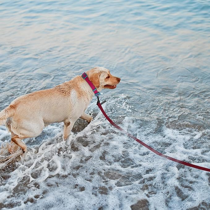 Wolfone 3m Dark Red Heavy Duty Robust Training Dog Leash with Anti-Slip Handle，Waterproof Long Dog Leash for Outdoor Activities