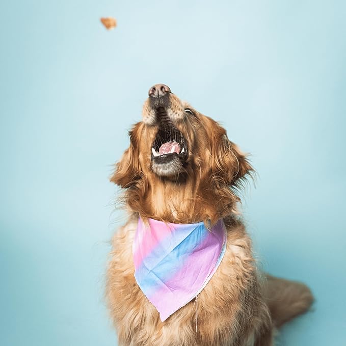 Superfood Dog Treats Salmon, Chicken or Beef Jerky Bars - Dog Treats for Snacks and Training – Made in USA - No Corn, Wheat or Soy – Poultry Free (5 Ounces, Beef)