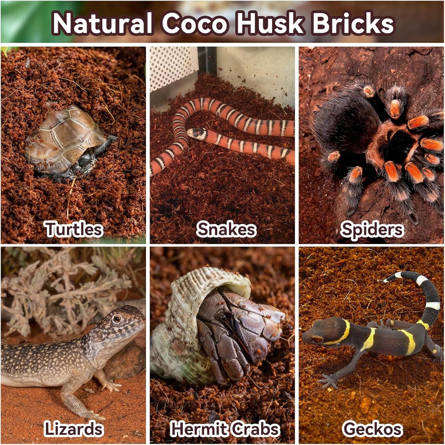 Legigo 4 Pack Compressed Coconut Fiber Substrate - 100% Organic Coconut Fiber Brick Bedding for Reptiles, Natural Coco Husk Substrate Terrarium Bedding for Snake, Hermit Crabs, Frogs, Tortoise, Gecko
