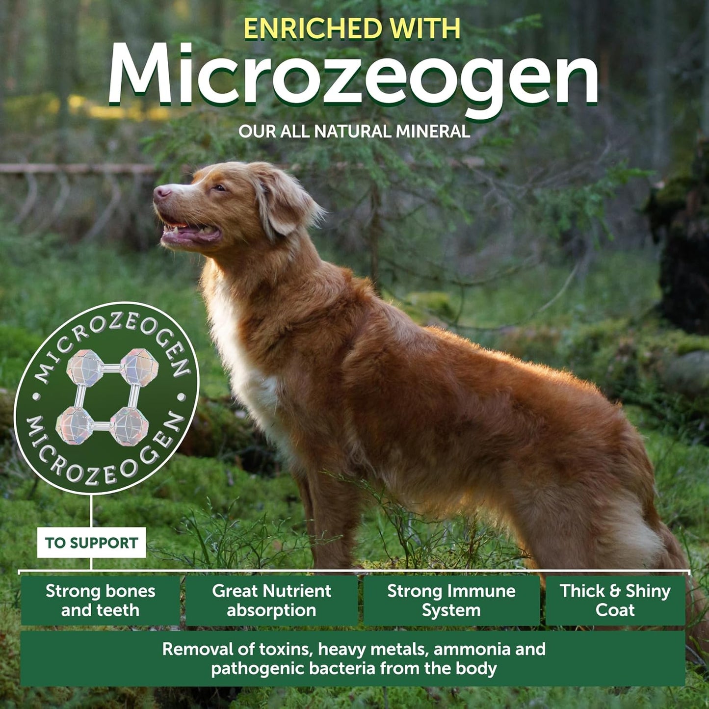 Nature's Protection Grain Free Low Calorie Dog Treats - Training Dog Treats for Adult Small, Medium & Large Breed Dogs with Red Fur (Superior Care - Herring, 5.29 oz)