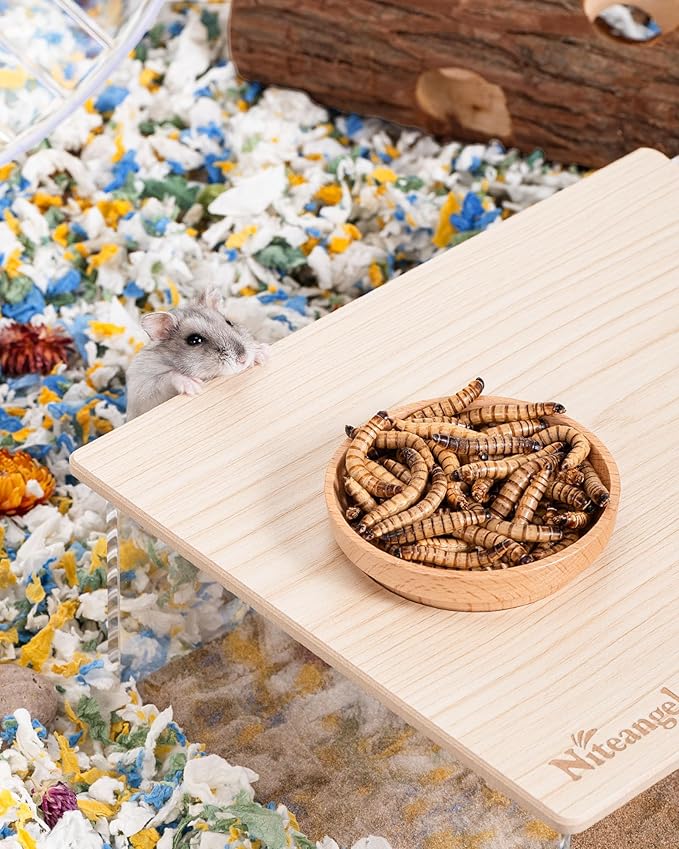 Niteangel Small Animal Snack & Treats - Small Critter Natural Treat for Dwarf Syrian Hamsters Gerbils Mice Sugar Glider Hedgehogs Chickens Birds (Freeze-Dried Worms- 1.4oz (40g))