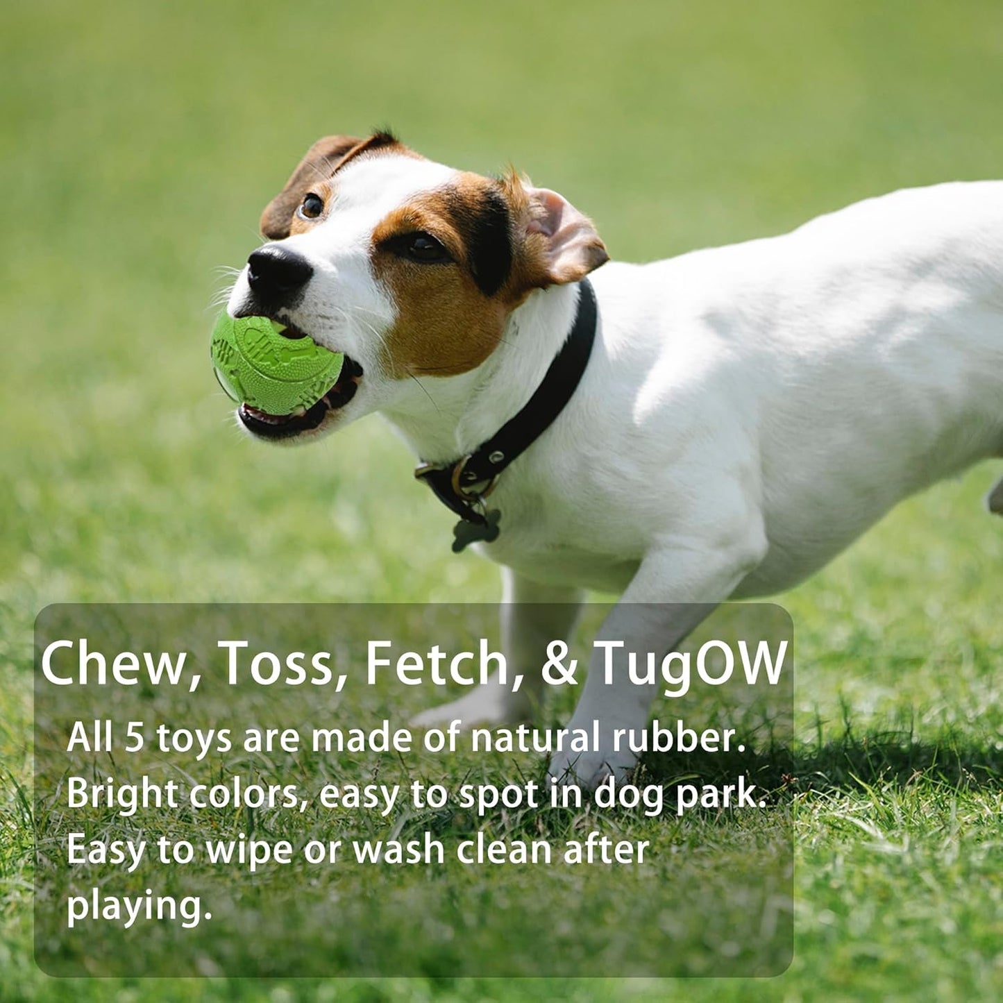 Jalousie Plush & Rope Dog Toys - Squeaky, Premium Rubber (5 Pack for Small/Medium Dogs & Puppies)