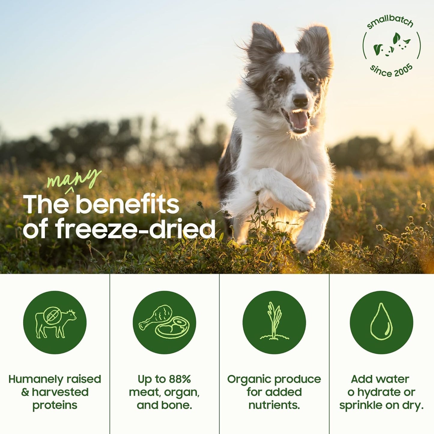 smallbatch Freeze Dried Dog Food – Lamb Recipe, Grain Free, Organic Produce – Grass Fed Lamb Hearts & Organs – High Protein Meal or Topper – Complete & Balanced Nutrition – 19 oz, Made in USA