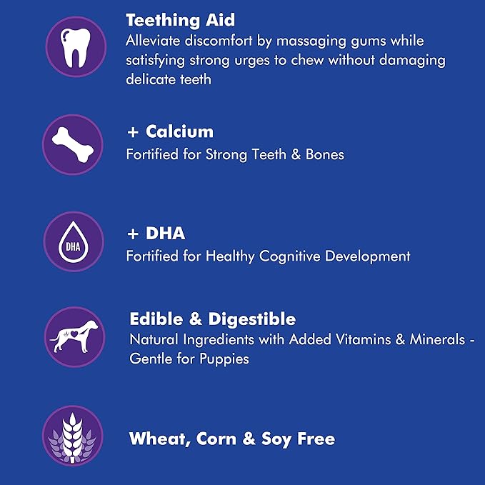 N-Bone Puppy Teething Ring Pumpkin Flavor 7.2 OZ/(6 Pack)