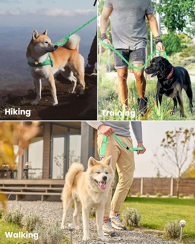 OutdoorMaster Bungee Dog Leash, Heavy Duty Dog Leash with Shock Absorption, 2 Padded Handles Training Leash, Improved Dog Safety and Comfort - Green Upgraded, 4 FT