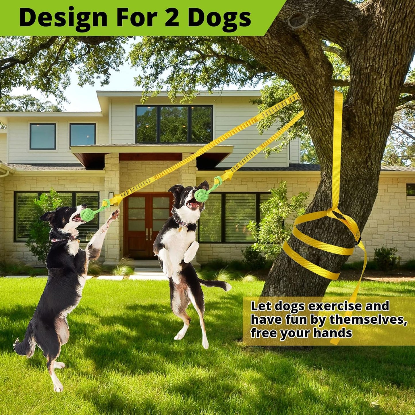 Dog Hanging Bungee Tug Toy for Two Dogs: Interactive Tether Tug-of-War for Pitbull Small to Large Dogs to Exercise - Durable Retractable Tugger Dog Rope Toy with 2 Chew Rope Toys