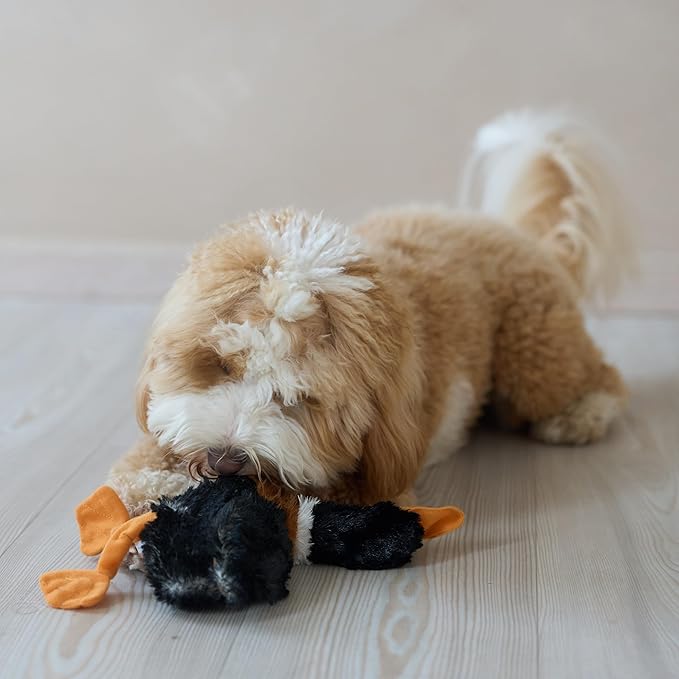 SPOT Skinneeez Mini Mallard Duck 13 Inch Stuffing-Free Plush Squeaky Dog Toy – Soft Interactive Toy for Small and Medium Dogs – Mess-Free Play for Light & Moderate Chewers – Assorted Styles