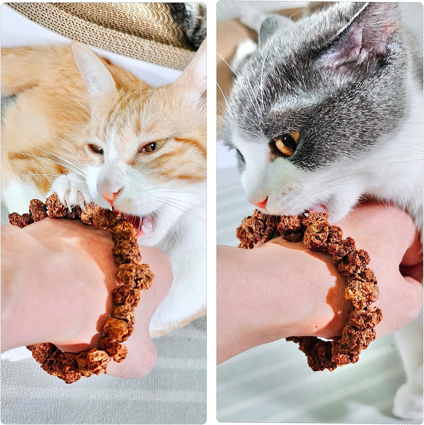 Natural Silvervine Gall Fruit Cat-Attracting Bracelet,Interactive Cat Toy for Relaxing and Teething, Catnip Alternative (Small Gall Fruit)