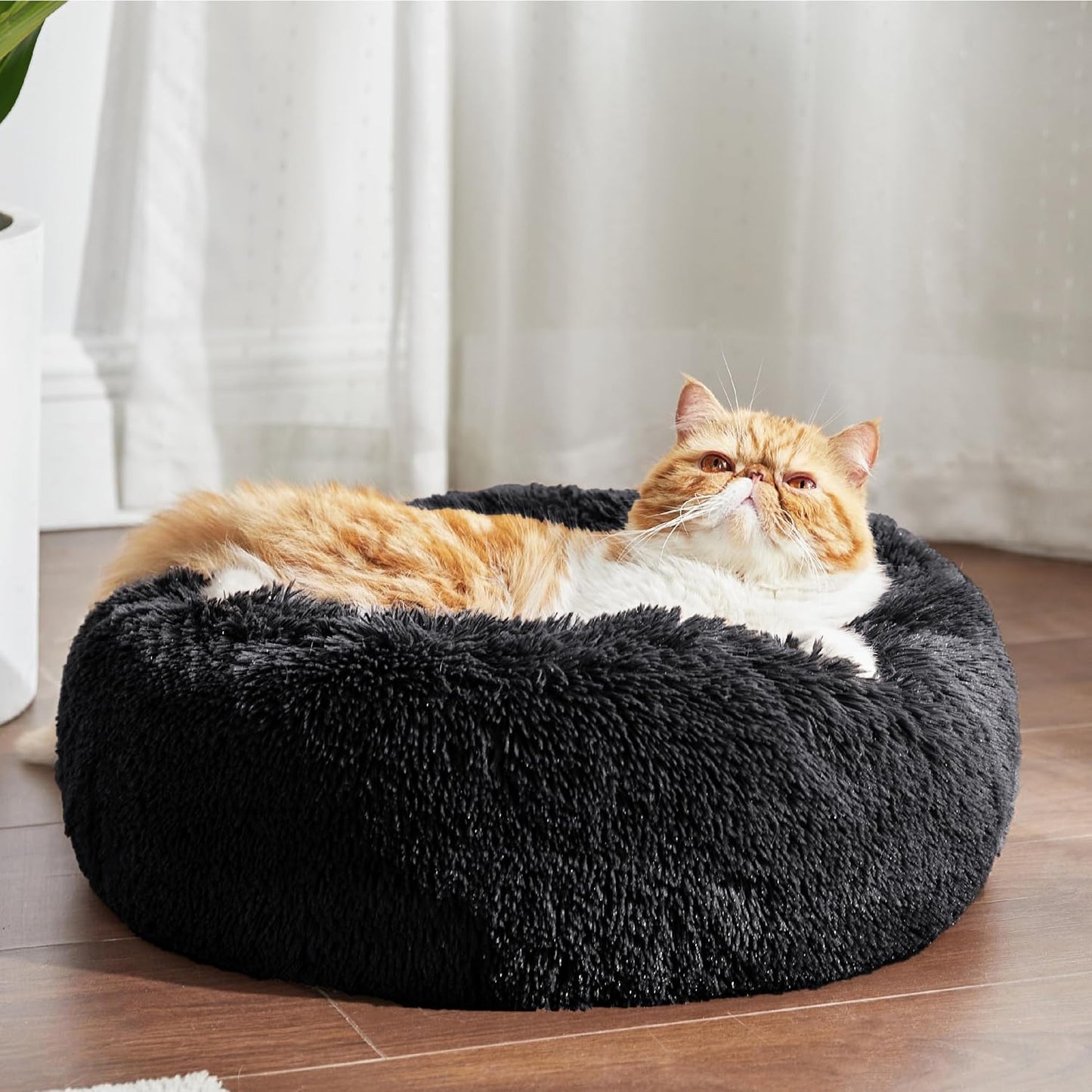 Bedsure Calming Cat Beds for Indoor Cats - Small Cat Bed Washable 20 inches, Anti-Slip Round Fluffy Plush Faux Fur Pet Bed, Fits up to 15 lbs Pets, Black