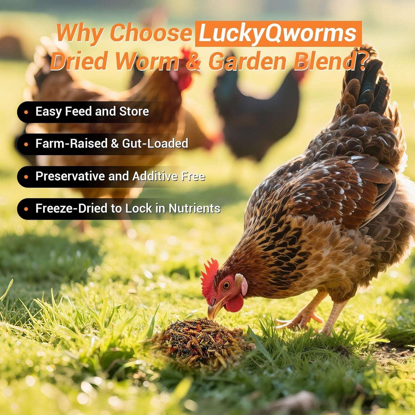 Worm & Garden Blend - Premium Treat for Chickens, Birds, Ducks, Reptiles & Hedgehogs - High Protein Feed with Dried Mealworms, BSFL, Veggies - 1 Lbs Resealable Bag Bug 'n' Veggie Buffet