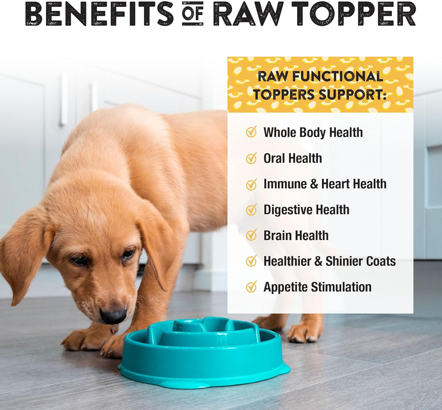 Northwest Naturals Freeze-Dried Whole Chicken Egg Functional Topper - for Dogs & Cats - Healthy, 1 Ingredient, Human Grade Ingredients, All Natural, Proudly Made in USA, 4 Oz (Pack of 2)