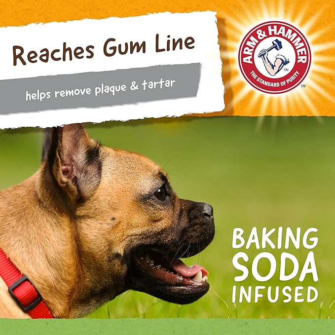 Arm & Hammer for Pets Super Treadz Gator Chew Toy - Best Chew Toys Reduce Plaque & Tartar Buildup Without Brushing - for Dogs up to 35 Lbs (Pack of 12)