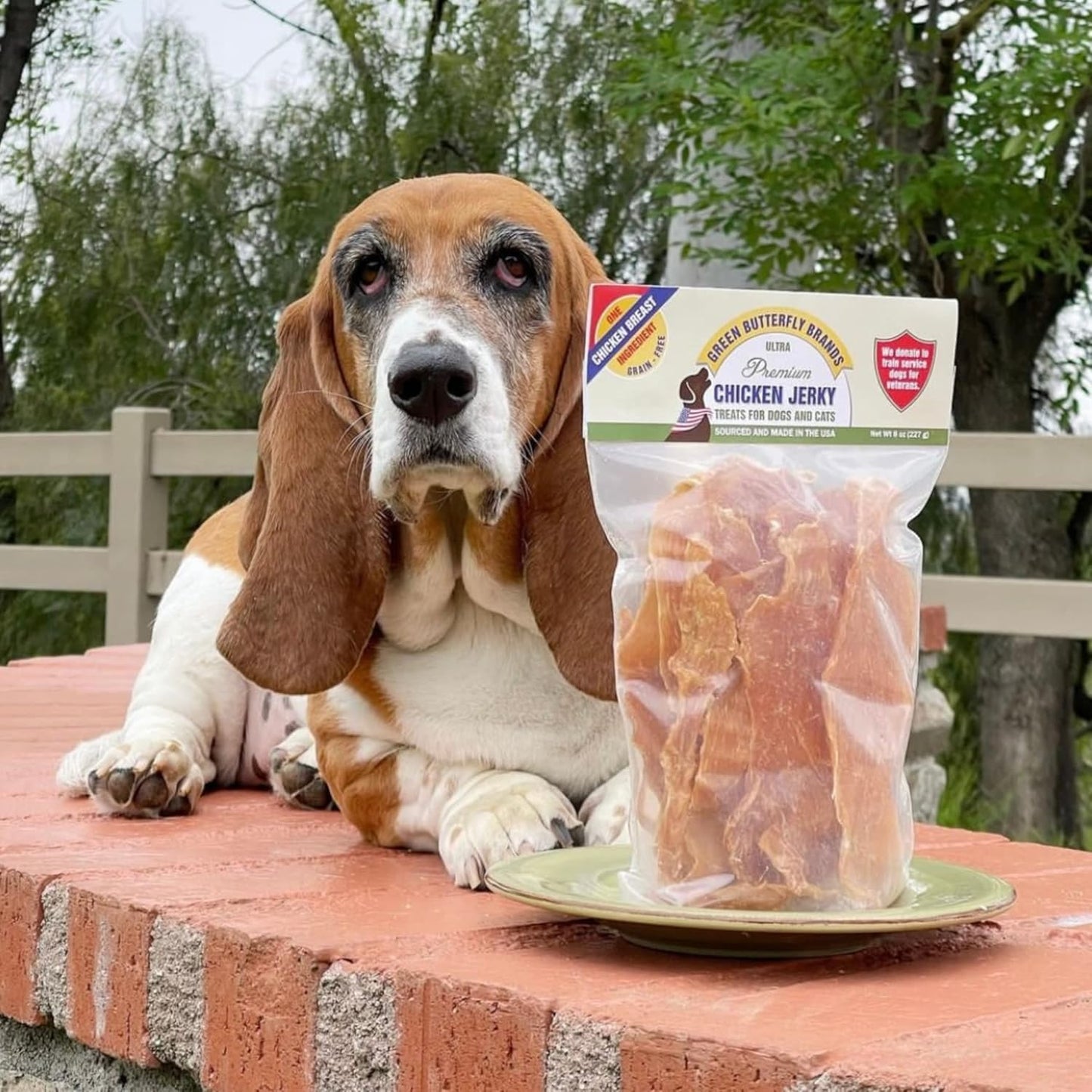 Chicken Jerky - Dog Treats Made in USA Only - 1 Ingredient: USDA Grade A Chicken Breast - No Additives or Preservatives - Grain Free Snack, All Natural Premium Strips, 8 Ounces