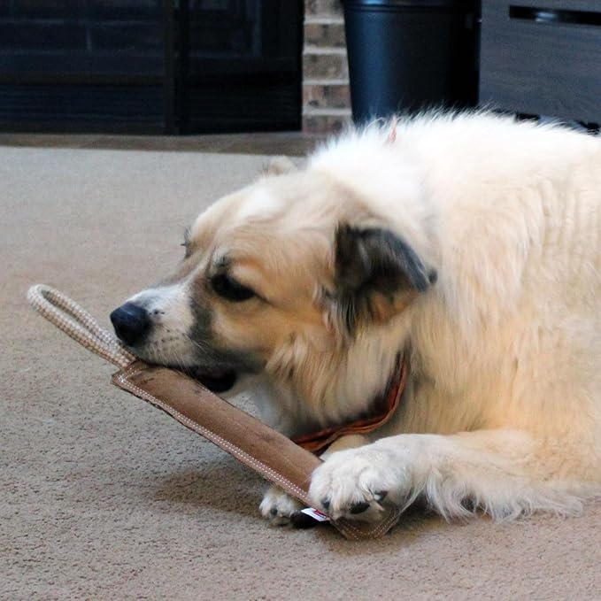 SPOT Dura-Fused Leather Retriever Dog Toy – Real Leather & Jute Fabric, Double-Stitched & Durable, Squeaky Interactive Tug Toy with Rope Handle for Moderate Chewers, Soft Stuffed Fetch Toy, 15in