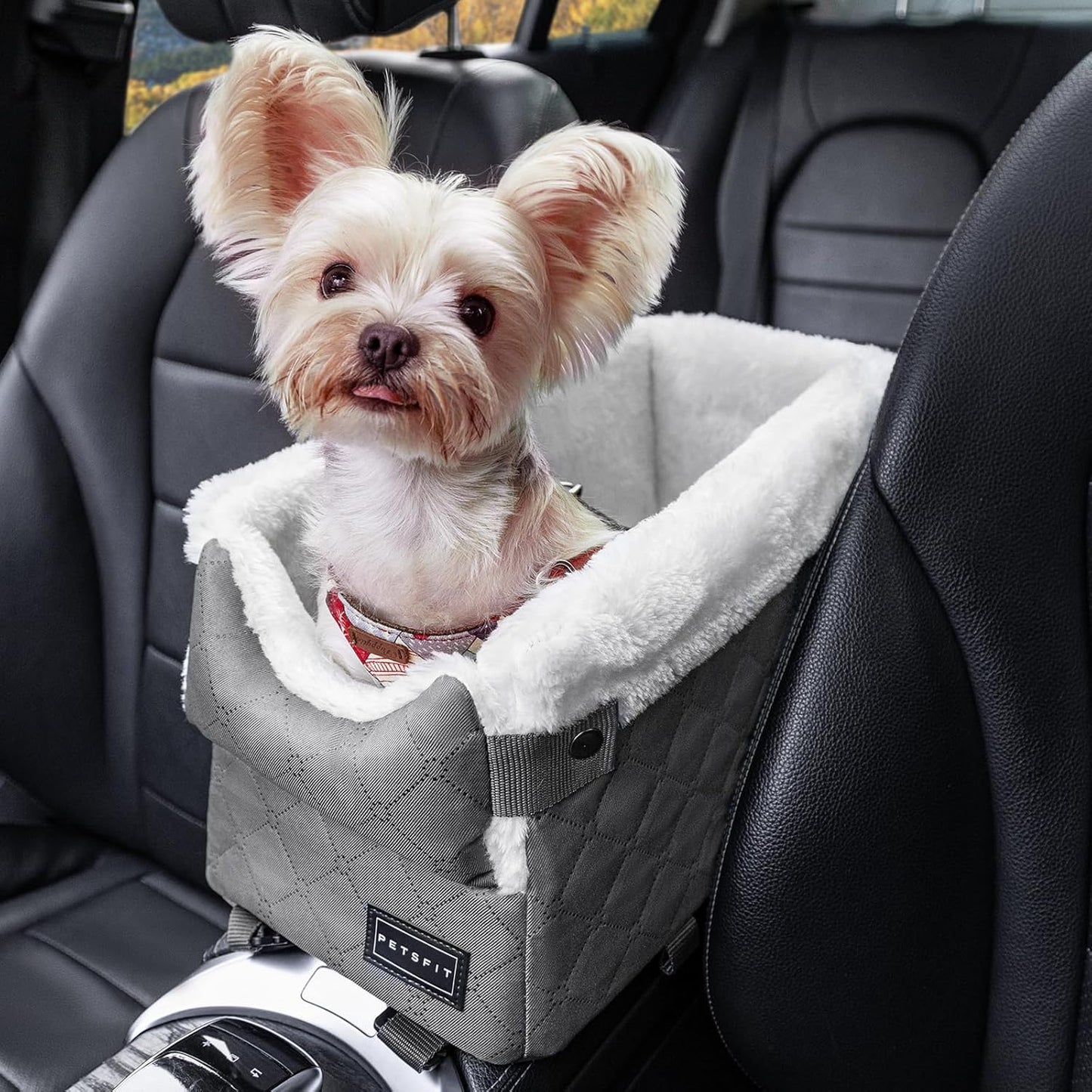 PETSFIT Center Console Dog Car Seat with Safe Protection Hooks, Pet Car Seat with Upgraded Safety Tethers, Washable Cushion, Console Dog Car Seats for Small Dogs Up to 8 Lbs (Grey)