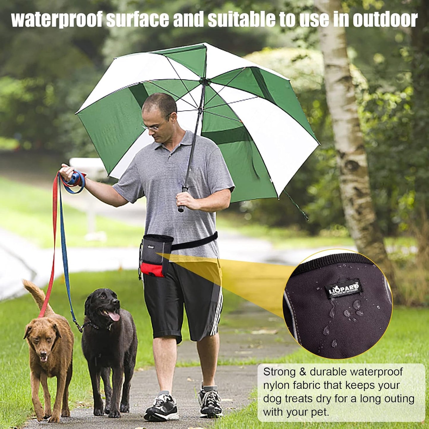 LIOPARD Treat Training Pouch for Dogs, Pet Treat Pouch, Dog Treat Pouches, Dog Treat Bag, Dog Training Treat Bag, Slanted Opening, Ideal for Dog Walking & Training (red)