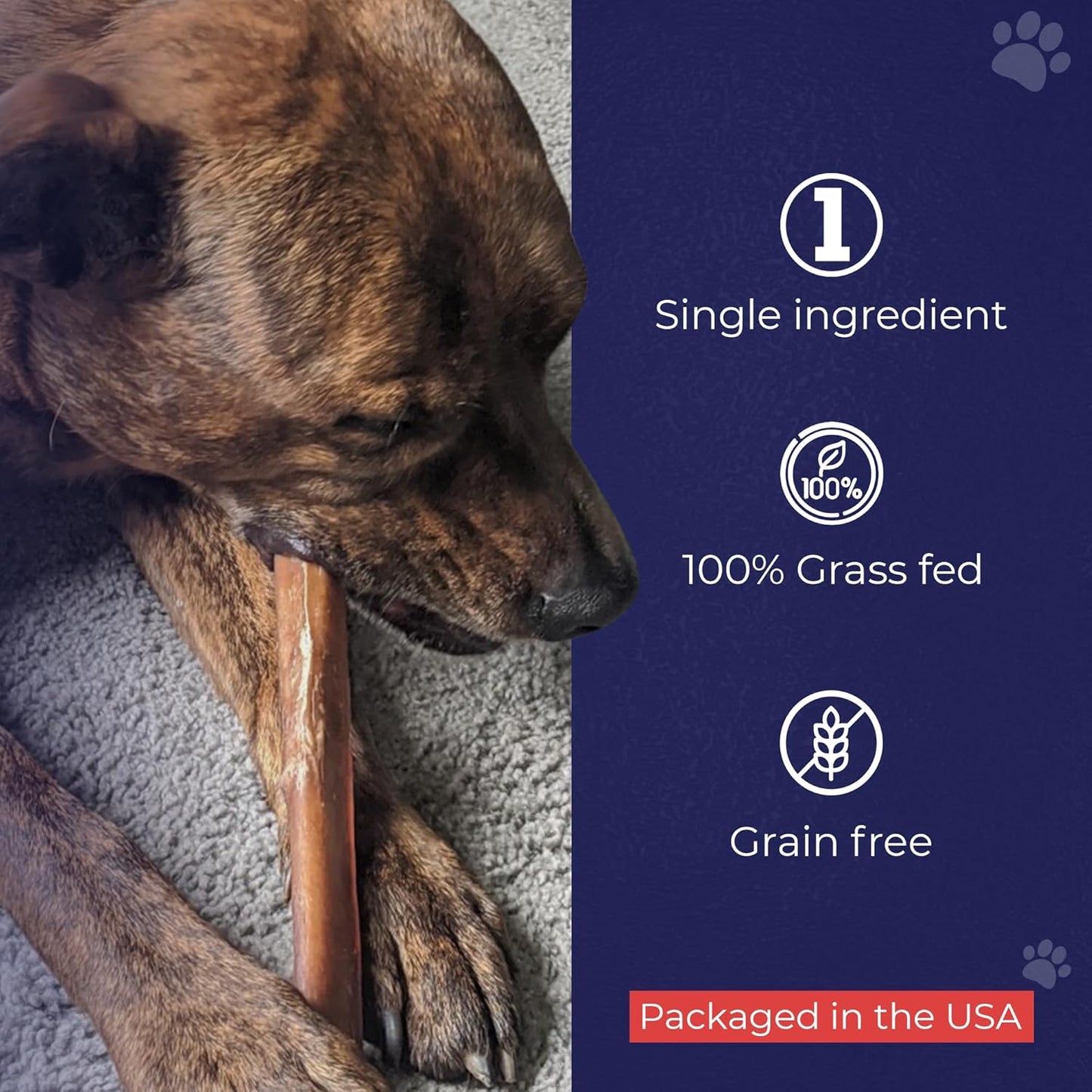 Devil Dog Pet Co. Bully Sticks – 6 Inch, 5 Pack, Standard Sized Dog Chews, 100% Natural, Single Ingredient, Free-Range Grass-Fed Beef – Long Lasting, Rawhide-Free Treats for Dogs