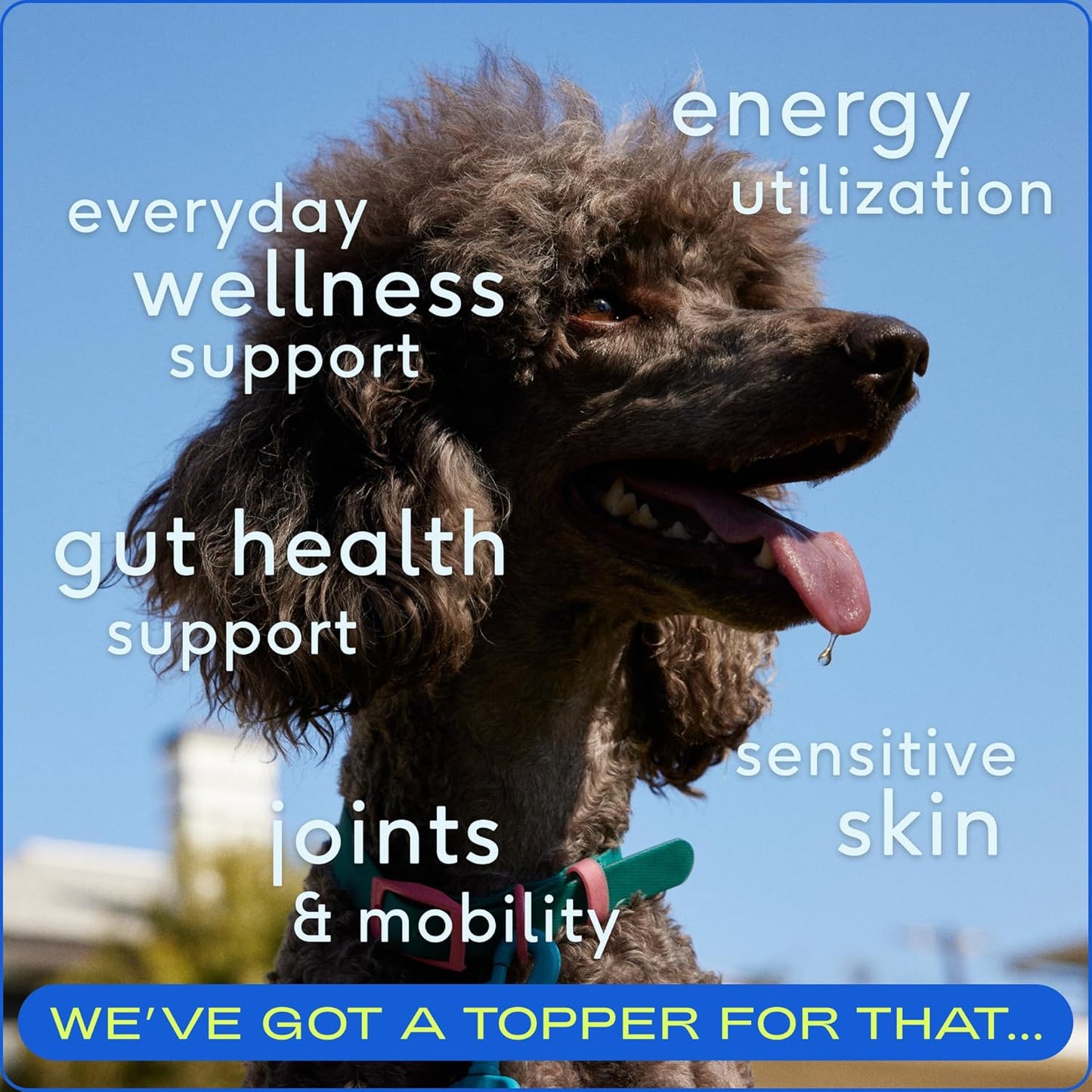 Native Pet Pack Leaders Bundle - Daily Dog Multivitamin (7 oz.) & Omega Oil for Dogs (8 oz.) - Omega 3 Fish Oil for Healthy Skin, Shiny Coat, & Strong Joints & Daily Multivitamin for Dogs