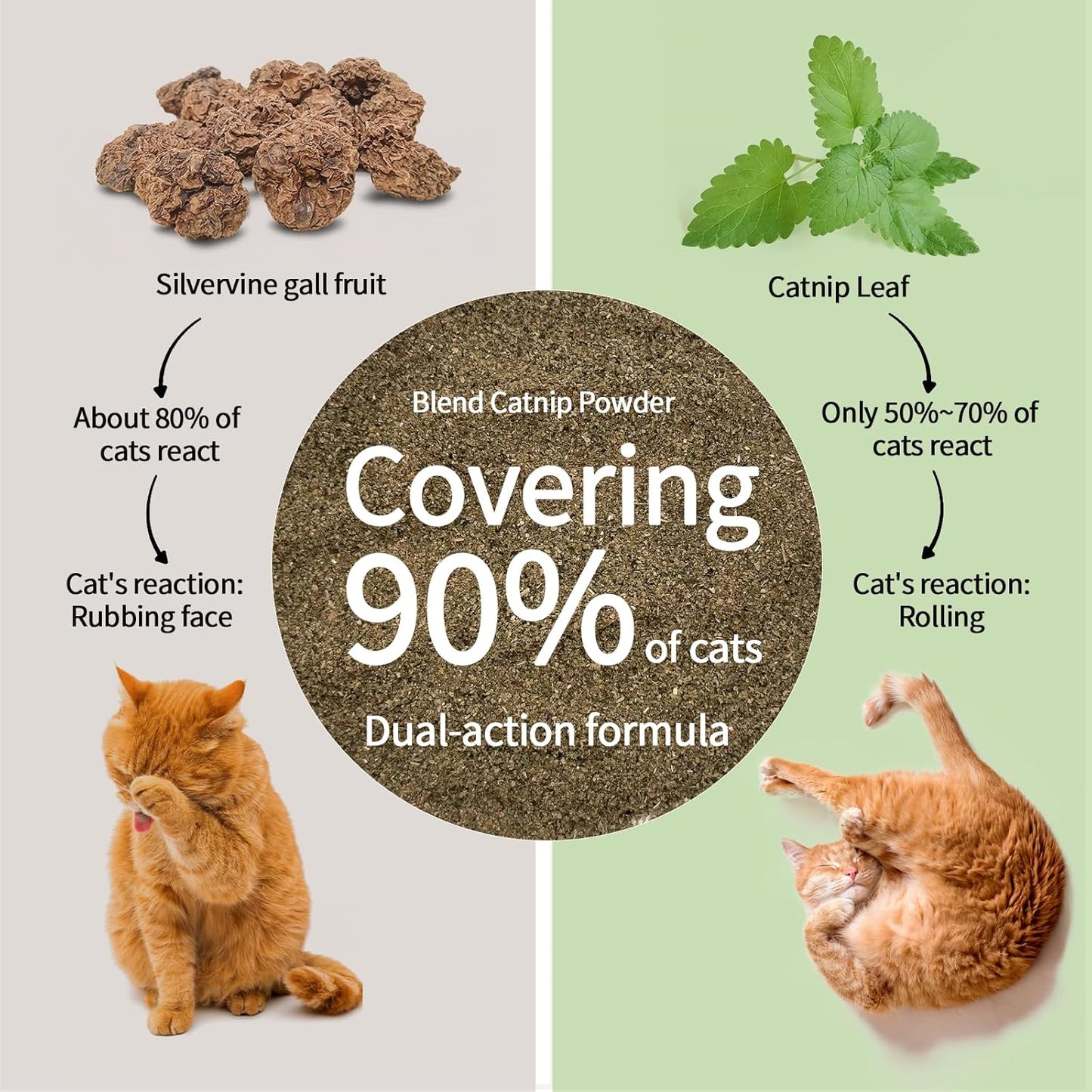 Catnip & Silvervine Powder – 30g Blend of Silvervine Gall Fruit & Catnip, Non-Addictive, for All Cat Ages, Multi-Use with Toys, Scratchers & Protecting Furniture, with 5 Little Pouches