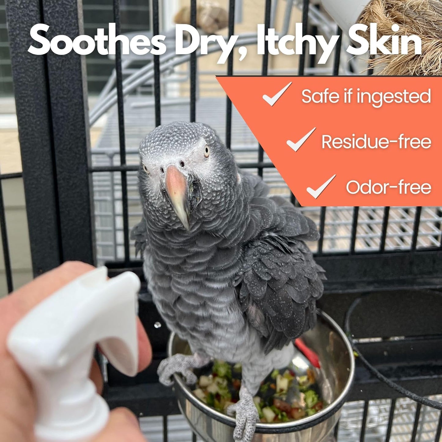 UnRuffledRx™ Aloe Vera Bird Spray for Birds (Pack of 2)- Daily Relief for Itchy, Dry Skin - 8oz in Each Pack Bird Bath Mist - Safe if Ingested, Natural, Odor-Free, Made in USA