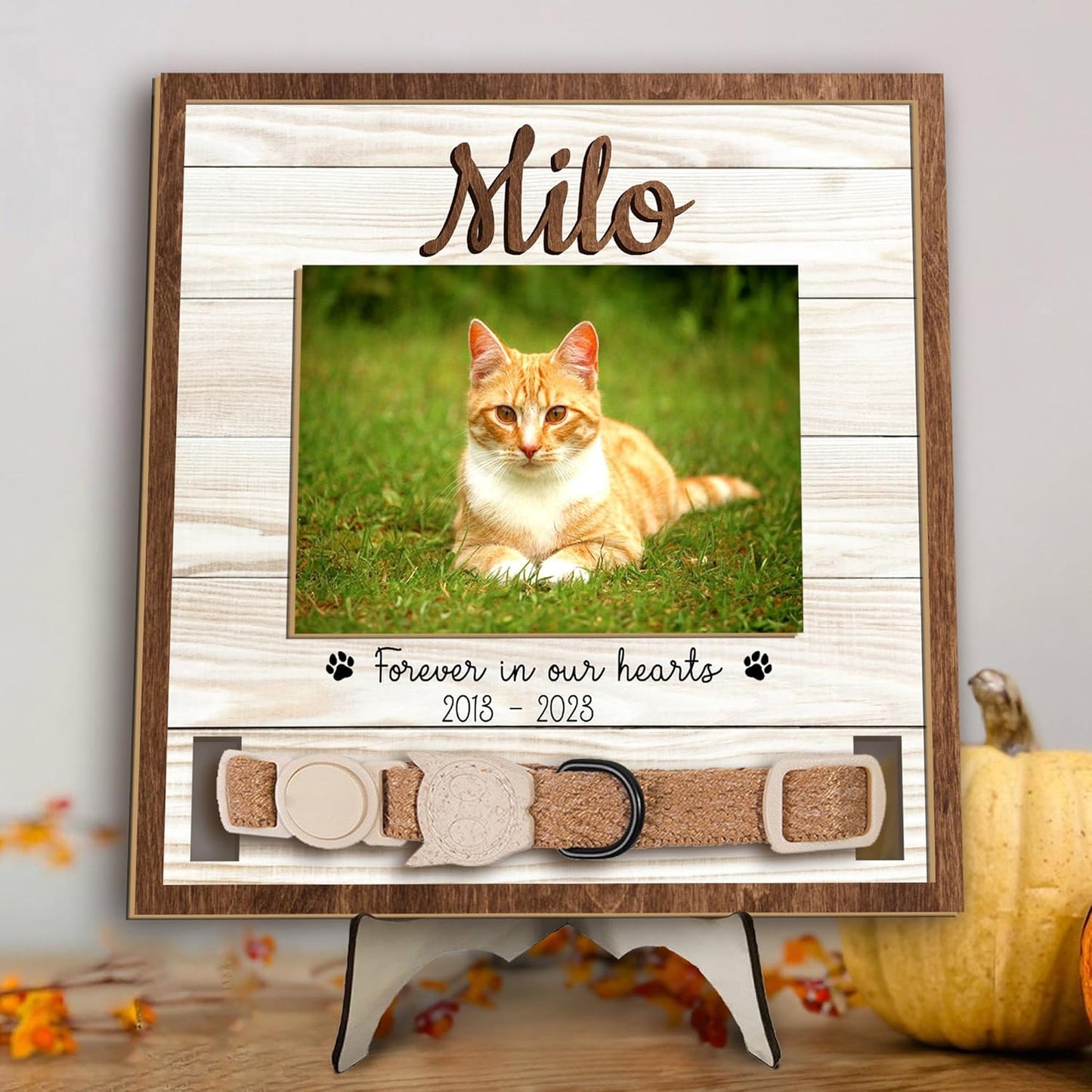Personalized Pet Memorial Frame with Collar Holder – Cat or Dog Loss Gift, Custom Pet Photo Remembrance, Sympathy Gift for Pet Lovers