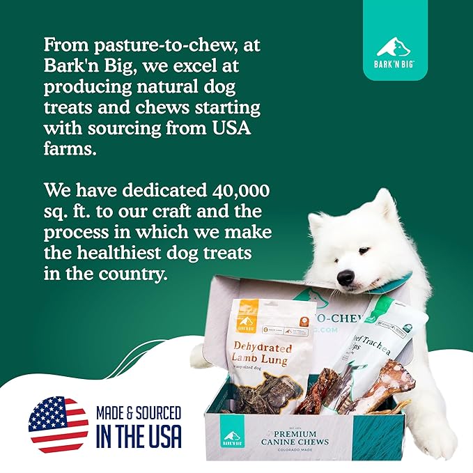 BARK'N BIG Beef Tendons for Dogs Made in USA - Single Ingredient Dog Treat - Premium All-Natural 100% USA Beef, High Protein, Low Fat, Tendon Chews for Dogs - 8-12 Inch - 12 Ct