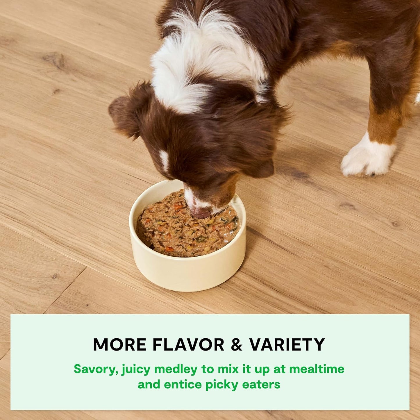 Open Farm Rustic Stews Wet Dog Food, Grain-Free, Complete & Balanced with Human-Grade Ingredients, Humanely-Raised Meat & Bone Broth, Harvest Chicken Recipe, 12.5oz Packs (Case of 12)