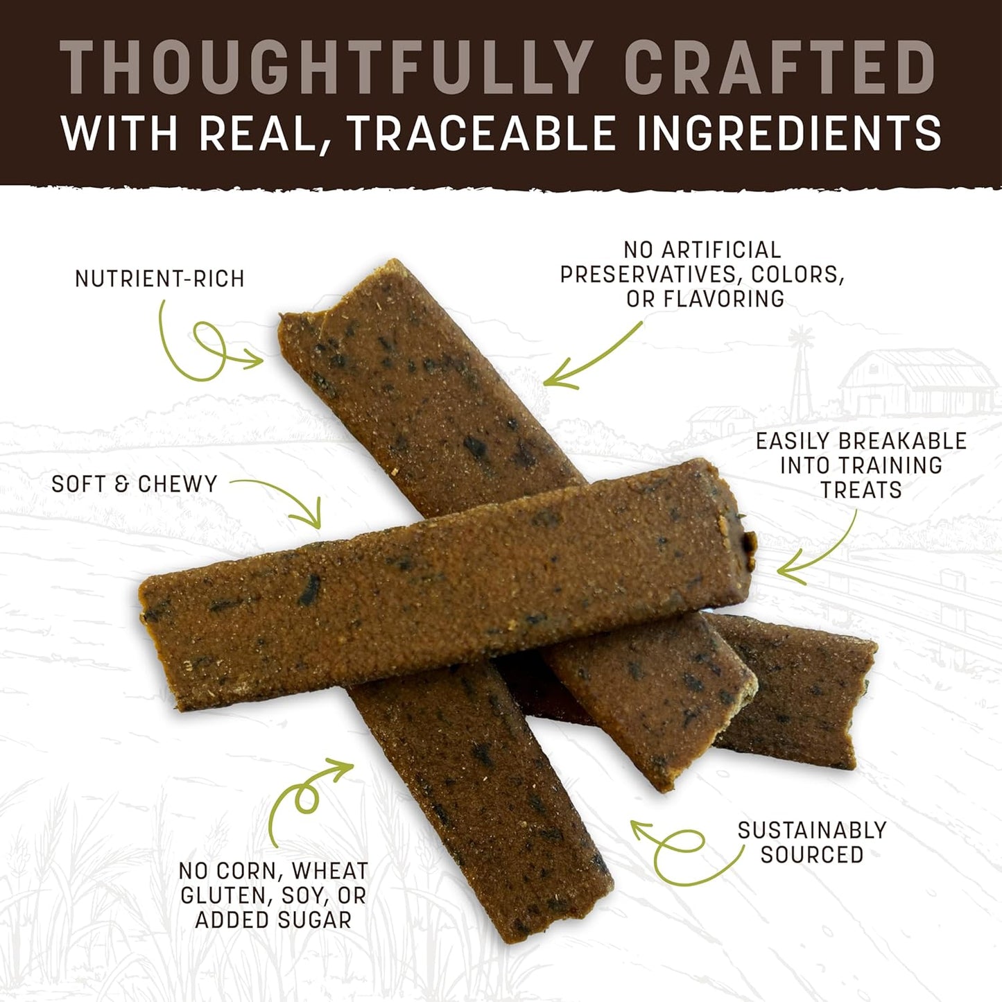 Earth Animal Wisdom Air-Dried Jerky from The Seed Recipe | Dog Treats | Dog Snacks | Premium Natural Plant-Based Jerky Strips | 4 oz |Made in The USA (Pack of 3)