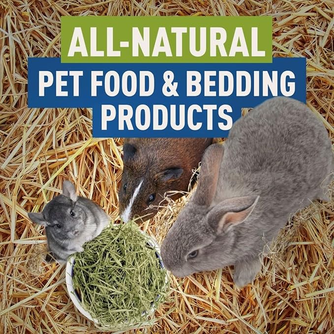 Blue Mountain Hay | Organic Bedding Straw (3 lb) | Natural Pet Bedding & Insulation for Rabbits, Guinea Pigs, Goats, Chickens, Stray & Feral Cats, and Small Animal Shelters