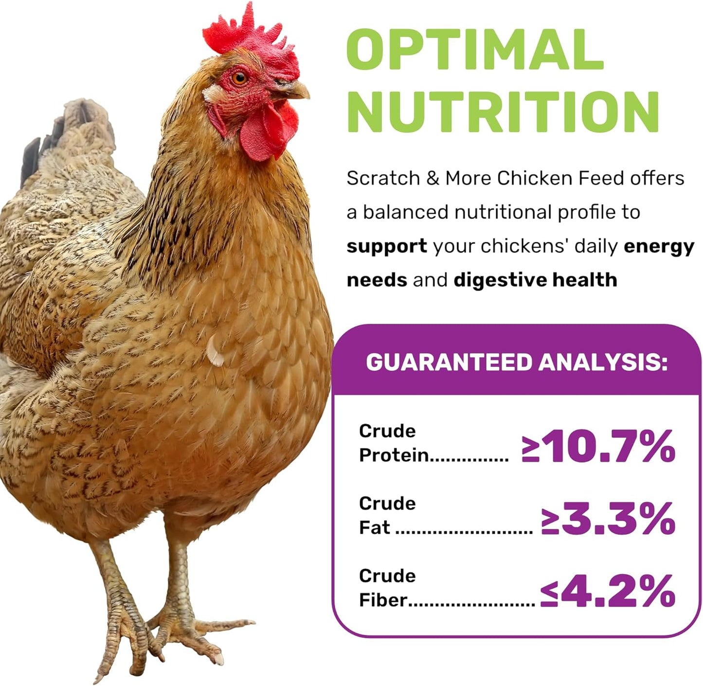 Scratch & More Chicken Feed - Enriched 5-Grain Mix with Mealworms & Fish Oil