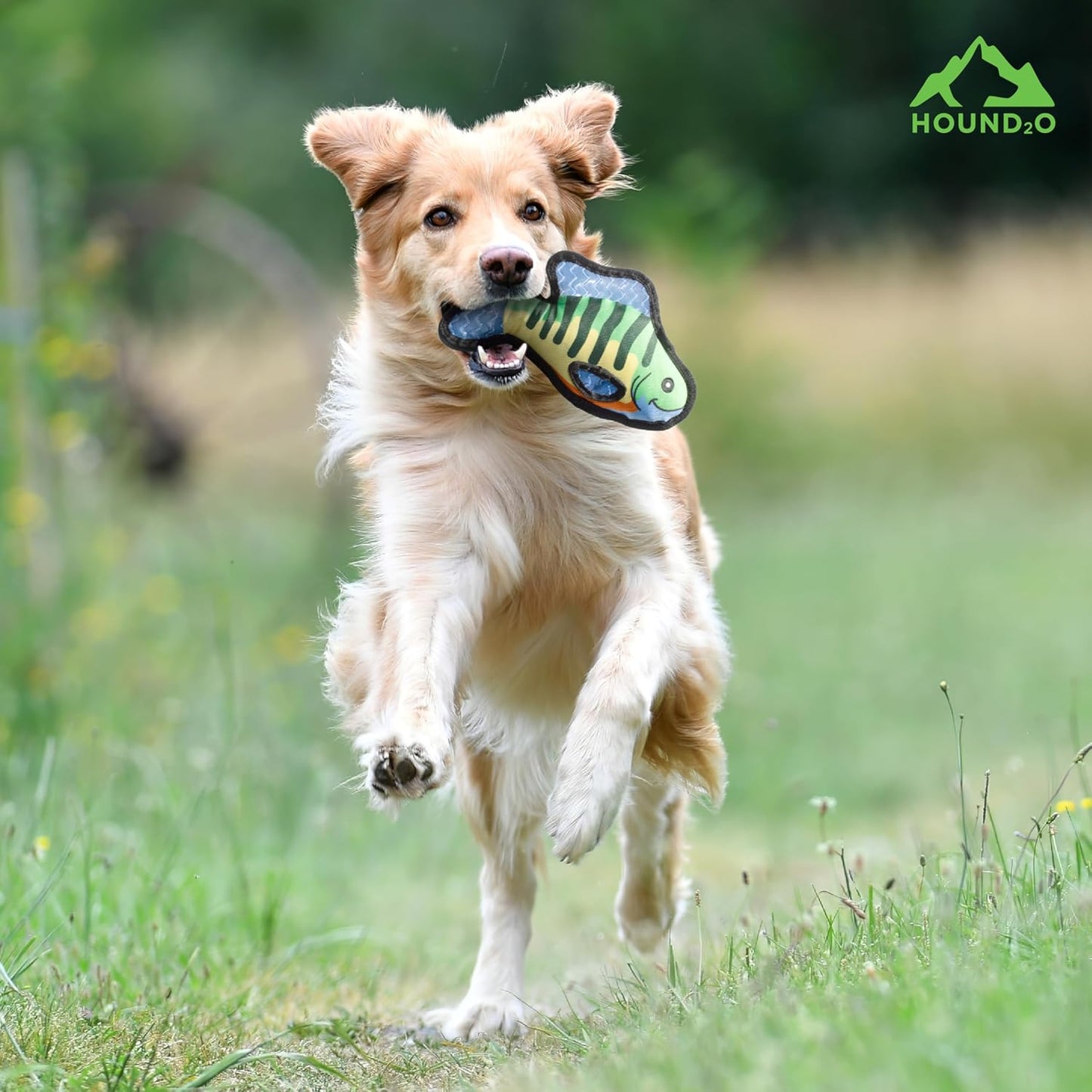 Dog Toys | Plush Toy Fish Bluegill & Trout Stuffed Animal for Dogs, Value 2-Pack | Outdoor Toy - Easy to Clean and Made from Non Toxic Materials