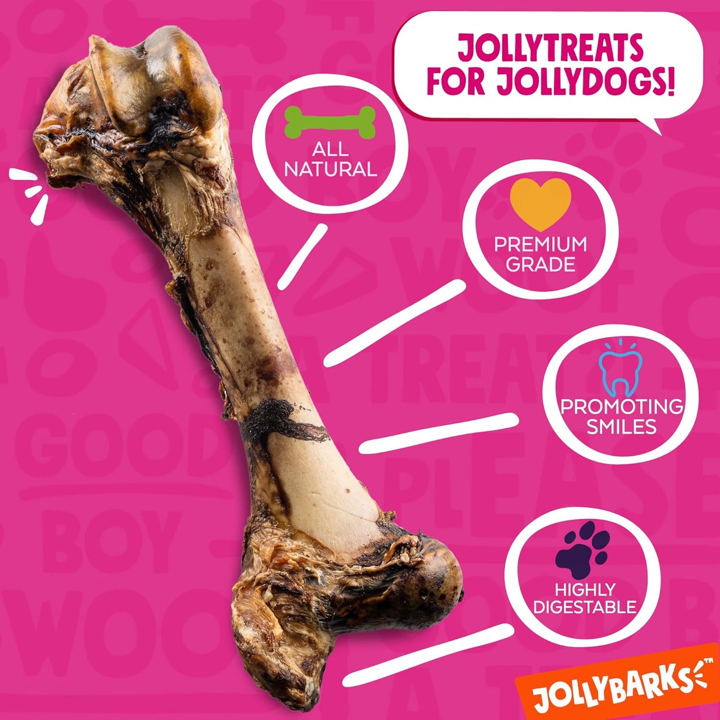 Mammoth Big Dog Bones for Large Dog Bone, 16" Femur Beef Bones for Agressive Chewers, Natural Giant Dog Bone (1 Pack)