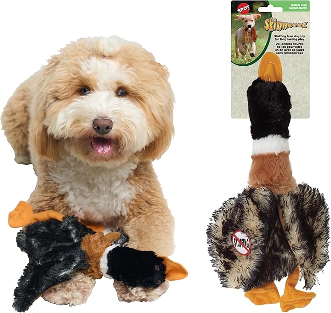 SPOT Skinneeez Mini Mallard Duck 13 Inch Stuffing-Free Plush Squeaky Dog Toy – Soft Interactive Toy for Small and Medium Dogs – Mess-Free Play for Light & Moderate Chewers – Assorted Styles