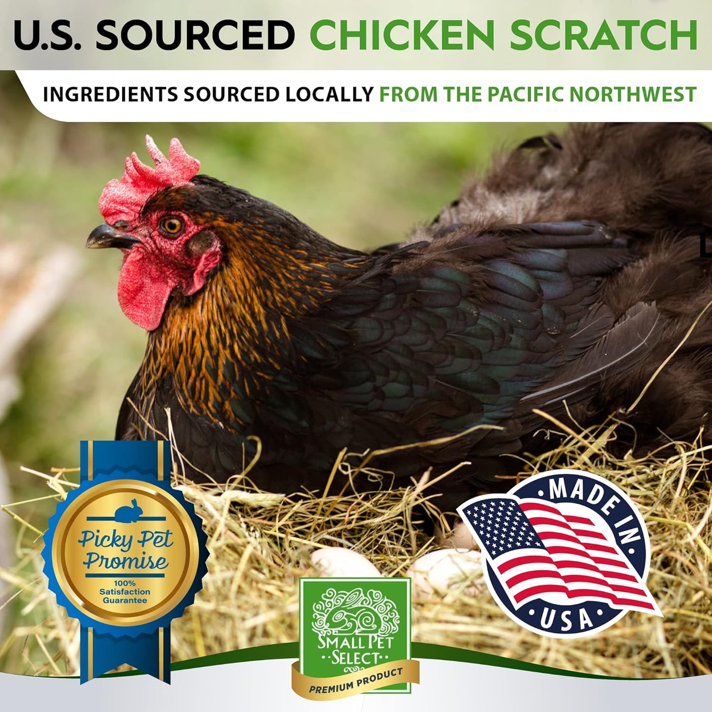 Small Pet Select Sustainable Chicken Scratch, Non-GMO, Corn Free, Soy Free. Locally Sourced & Made in Small Batches. 10 lb
