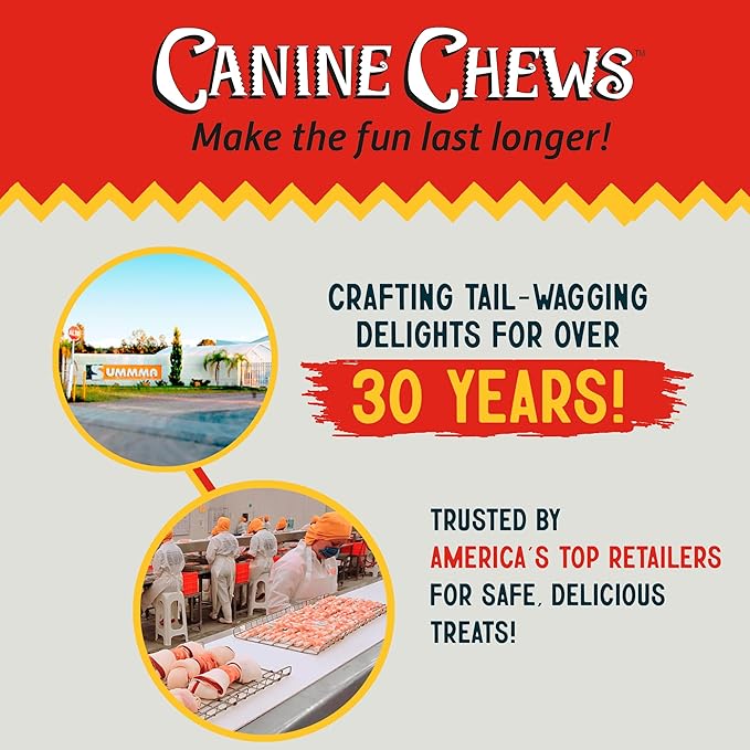 Canine Chews 10-11" Dental Coated Jumbo Rawhide Retriever Rolls (8 Pack) - Breath Freshening & Long Lasting Dental Chews for Dogs Large Size - Teeth Cleaning Dog Treats for Aggressive Chewers