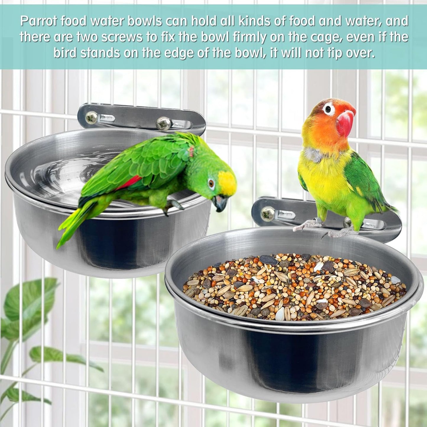 PINVNBY 2 PCS Stainless Steel Bird Bowl Parrot Food Water Bowls with Clamp Holder Bird Feeder Dish Cups Crate Bowls for Cockatiel Pigeons Conure Budgies African Greys (Double Screws Size: M)