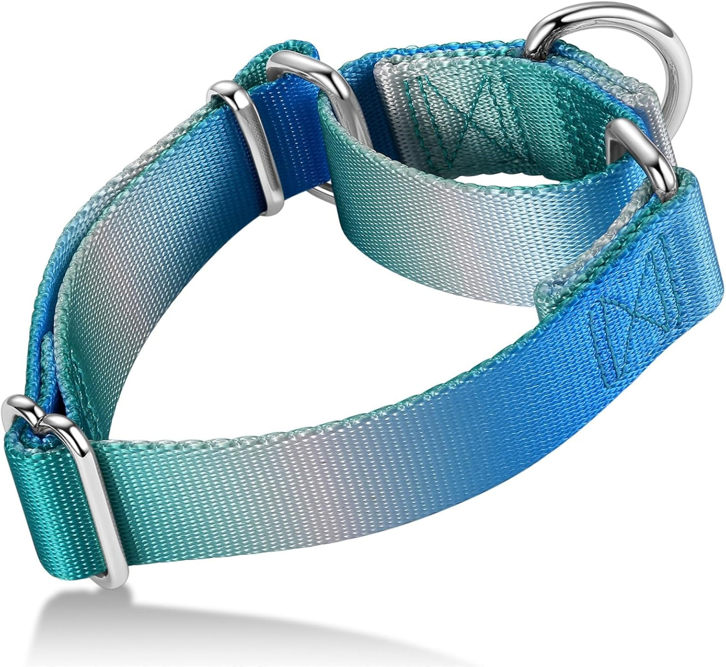Martingale Dog Collar Colorful Gradient Fashionable - Anti-Escape Soft Durable Pets Collar for Walking Training Outdoor Daily Use -Large,Turquoise Gradient