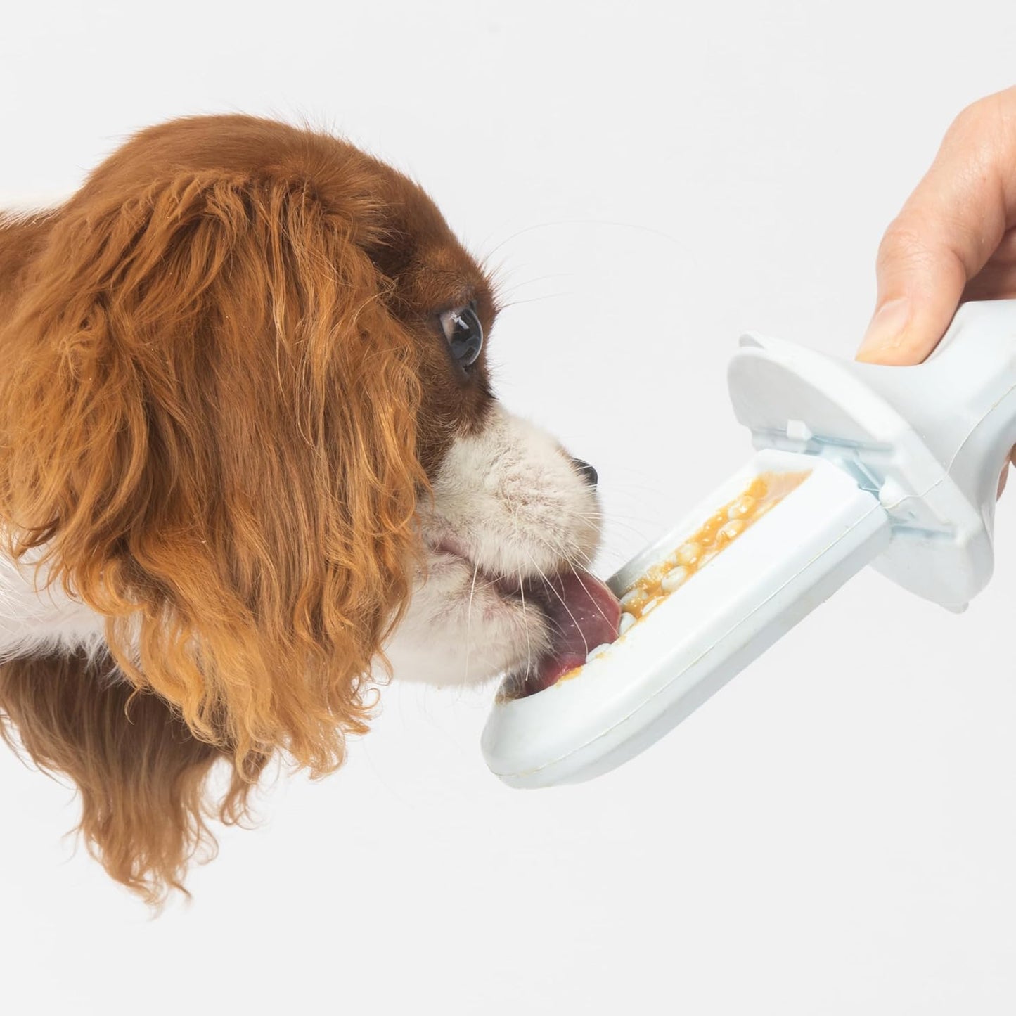 Diggs Spreadable Dog Treat - All Natural Plant Based Treat for Dogs - Ideal Food Topper or Filling for Groov Pet Crate Licking Toy (Gold'n Delicious)