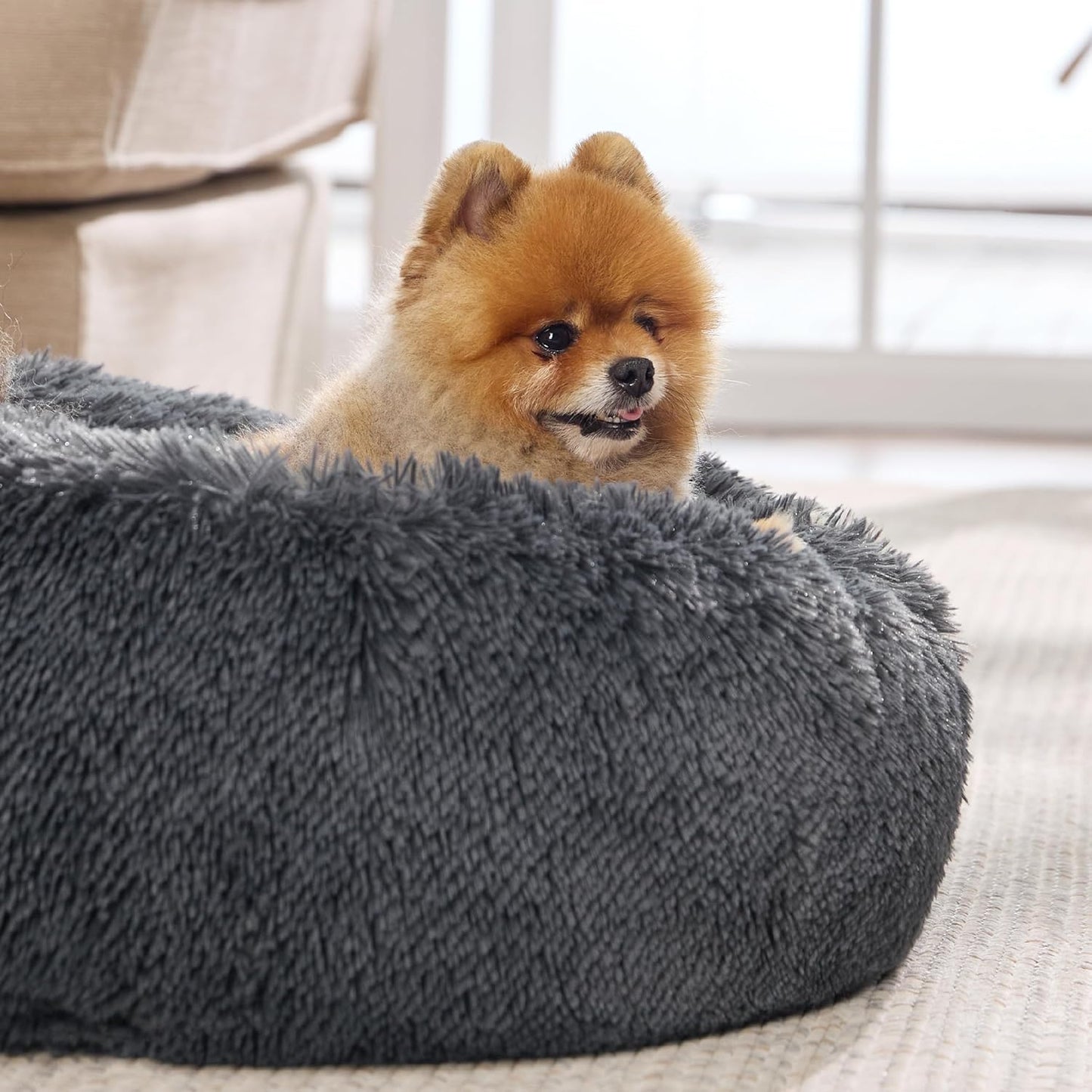 Bedsure Calming Dog Bed for Small Dogs - Donut Washable Small Pet Bed, 23 inches Anti-Slip Round Fluffy Plush Faux Fur Large Cat Bed, Fits up to 25 lbs Pets, Dark Grey