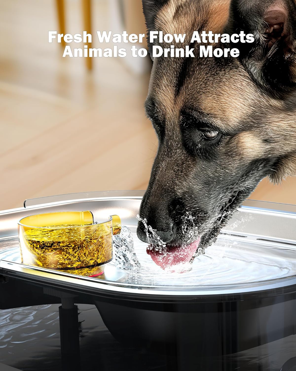 Dog Water Fountain, Dog Water Fountain for Large Dogs Stainless Steel, Large Dog Water Bowl Dispennser 2.6Gal 10L Pet Water Fountain, BPA Free