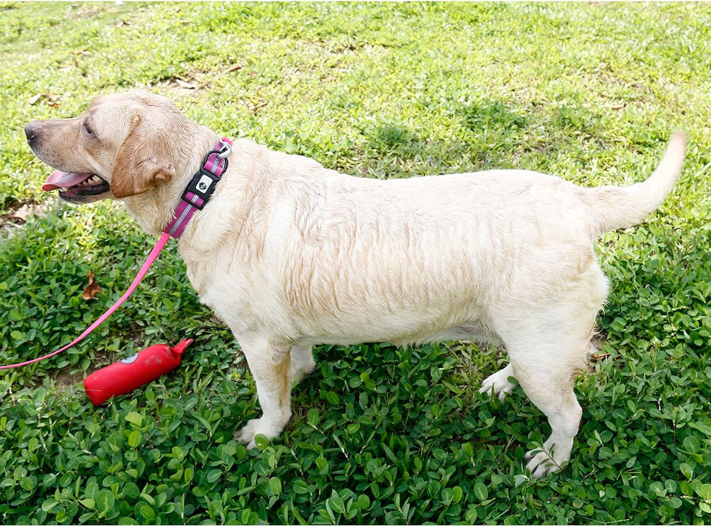 NIMBLE Dog Collar Waterproof Pet Collars Anti-Odor Durable Adjustable PVC & Polyester Soft with Reflective Cloth Stripe Basic Dog Collars S/M/L Sizes (Small (9.45”-14.17”inches), Rose Purple)