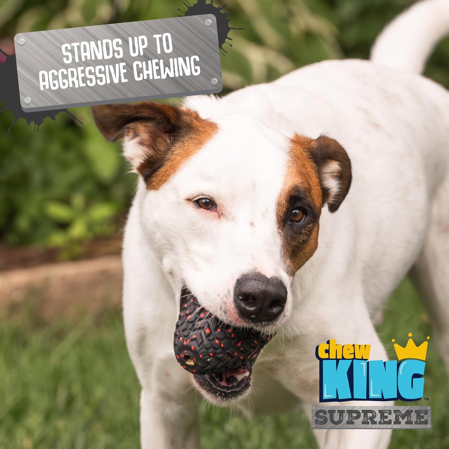 Chew King Supreme Dog Toy Collection, Large Supreme Treater