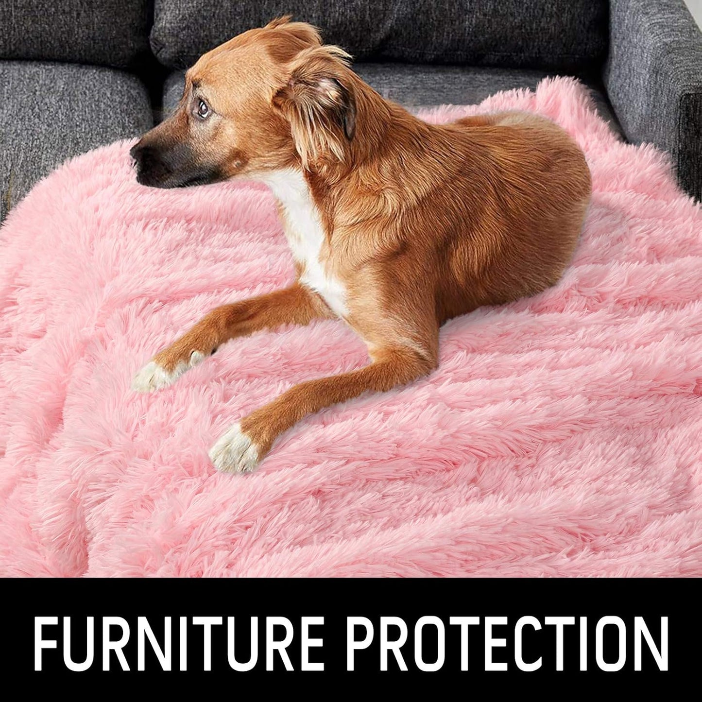 LOCHAS Luxury Fluffy Dog Blanket, Extra Soft and Warm Sherpa Fleece Pet Blankets for Dogs Cats, Plush Furry Faux Fur Puppy Throw Cover, 30''x40'' Pink