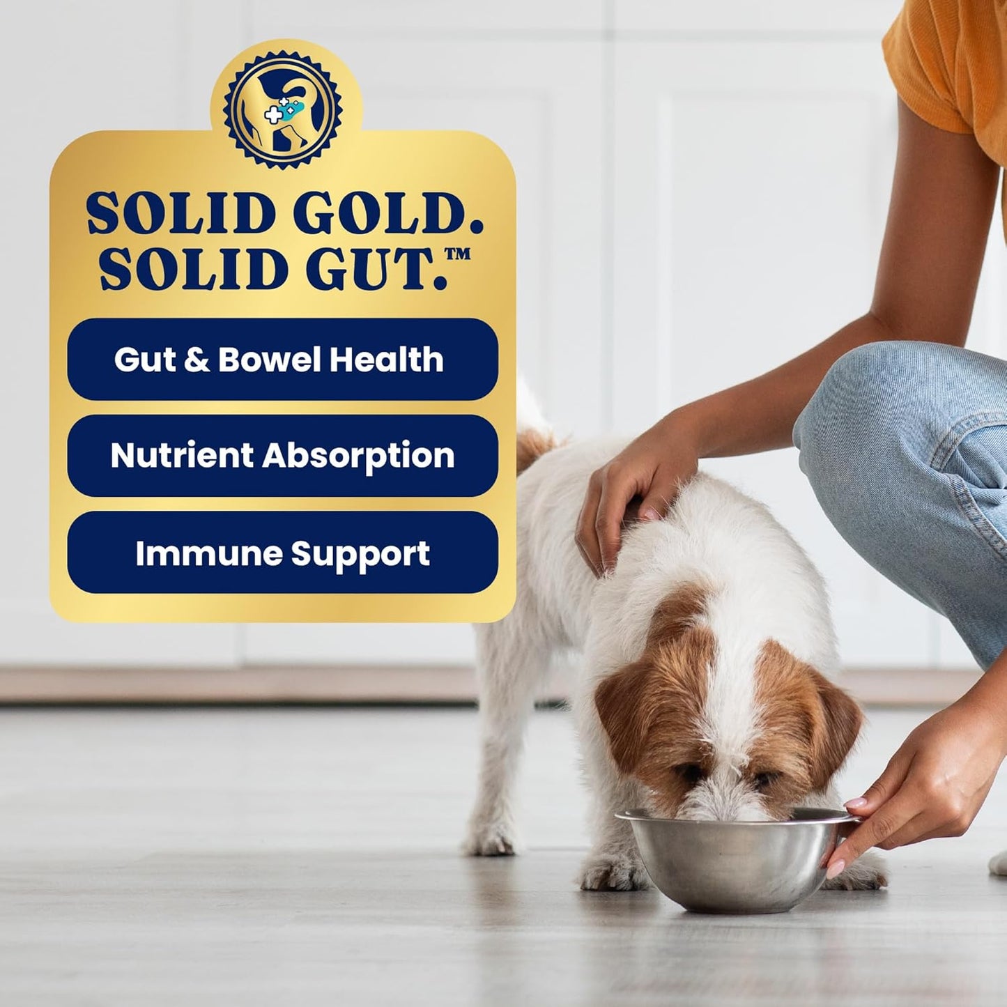 Solid Gold Wet Dog Food for Small Dogs - Grain Free Small Dog Food Wet Recipe w/Chicken, Superfoods & Vitamins for Gut Health & Immune Support - for Puppies, Adult & Senior Breeds - 12ct 3.5oz Cups