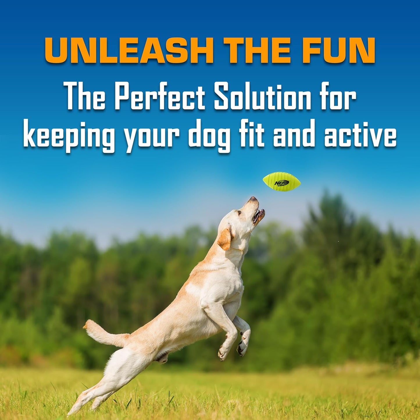 Nerf Dog Blitz Squeak Football Outdoor Dog Toy, 7 Inch Dog Football Squeaking Toy for Medium and Large Breeds, Green