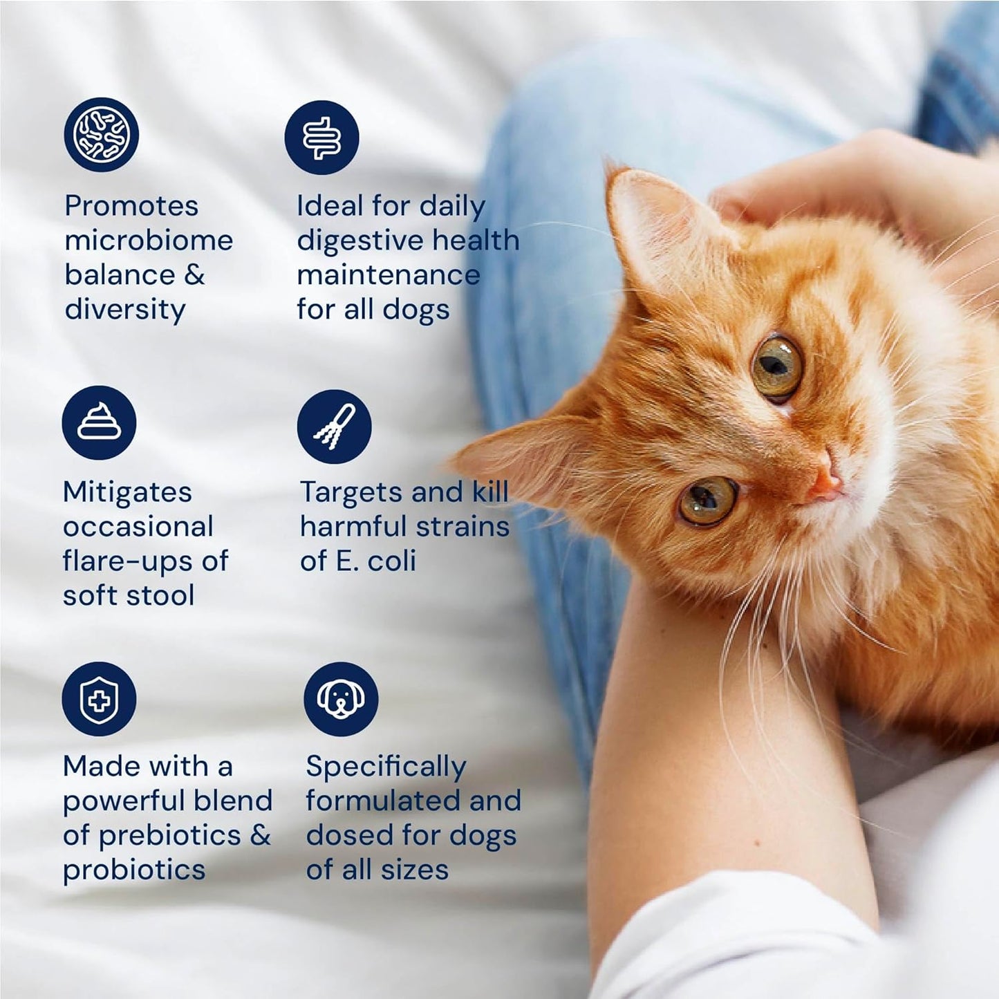 Cat Probiotics - GMP Prebiotics and Probiotics - Reduces Diarrhea Flareups for Cats - KittyBiome