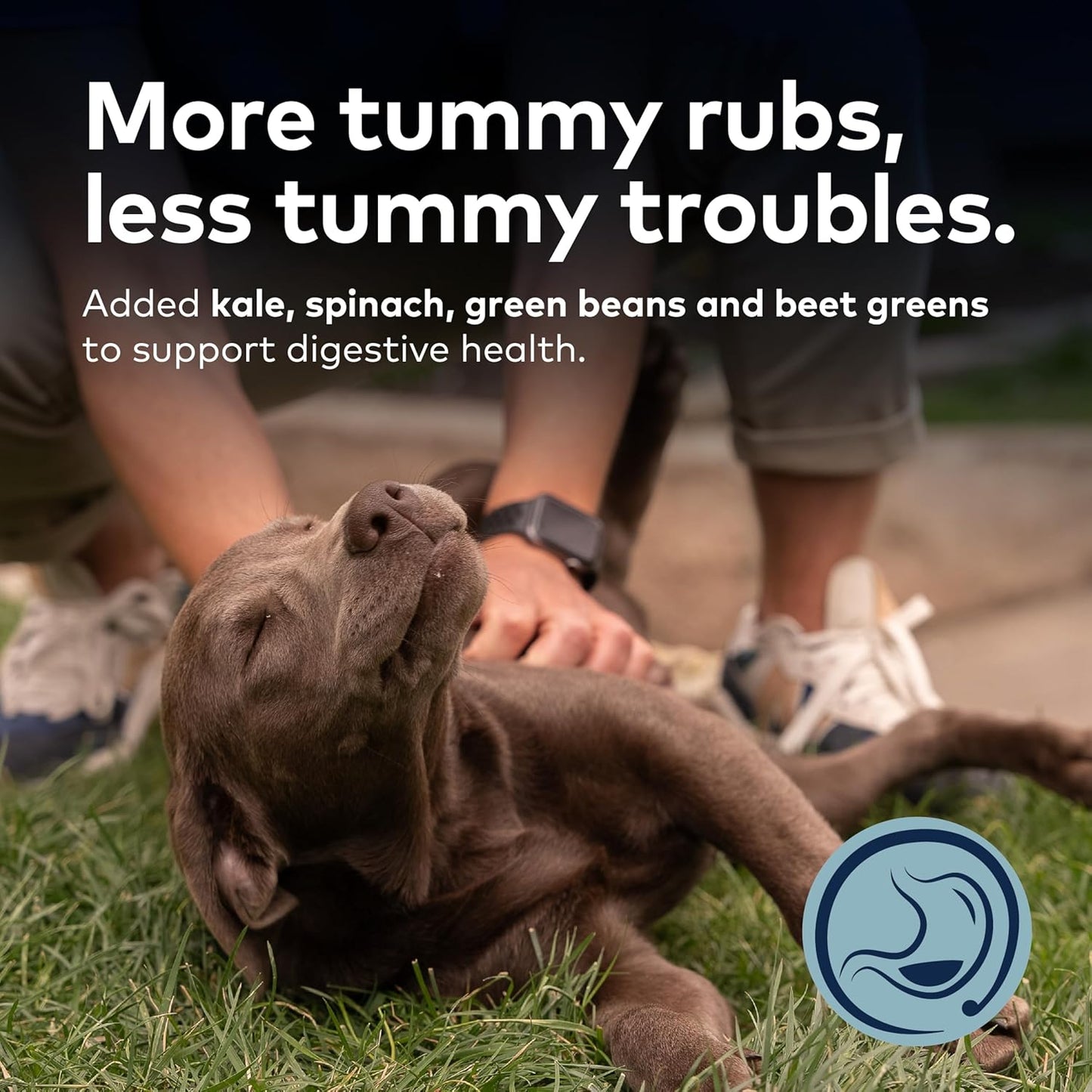 ZIWI Peak Steam & Dried Dog Food - Grass-fed Lamb w/Vegetables - High Protein, Low Carb, All Breeds & Lifestages, for Digestive Health (28.8oz)