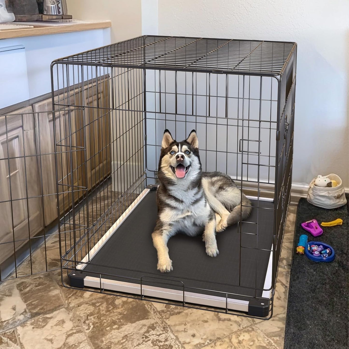 FXW TitanNest Chew-Proof Elevated Dog Bed, Raised Cot for Indoor/Outdoor/Camping Use, Durable & Washable Padded Pet Bed for Medium Dogs, 41.0" L x 27.0" W x 5.0" H, Black